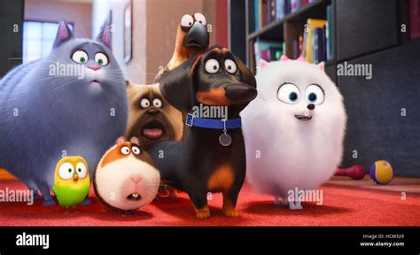 secret life of pets chloe voice